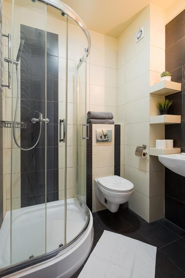 Sloneczny Stok Apartment Miedzybrodzie Zywieckie Luaran gambar