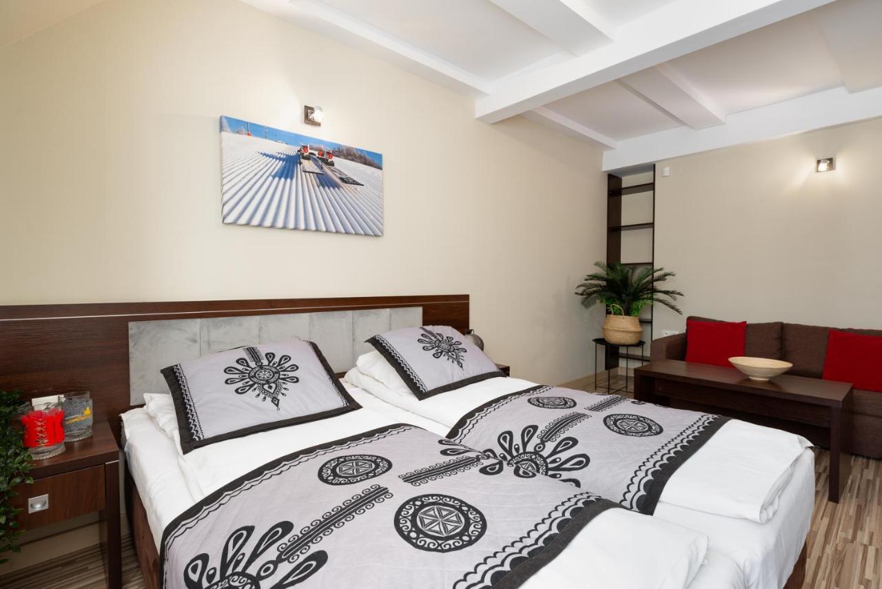 Sloneczny Stok Apartment Miedzybrodzie Zywieckie Luaran gambar