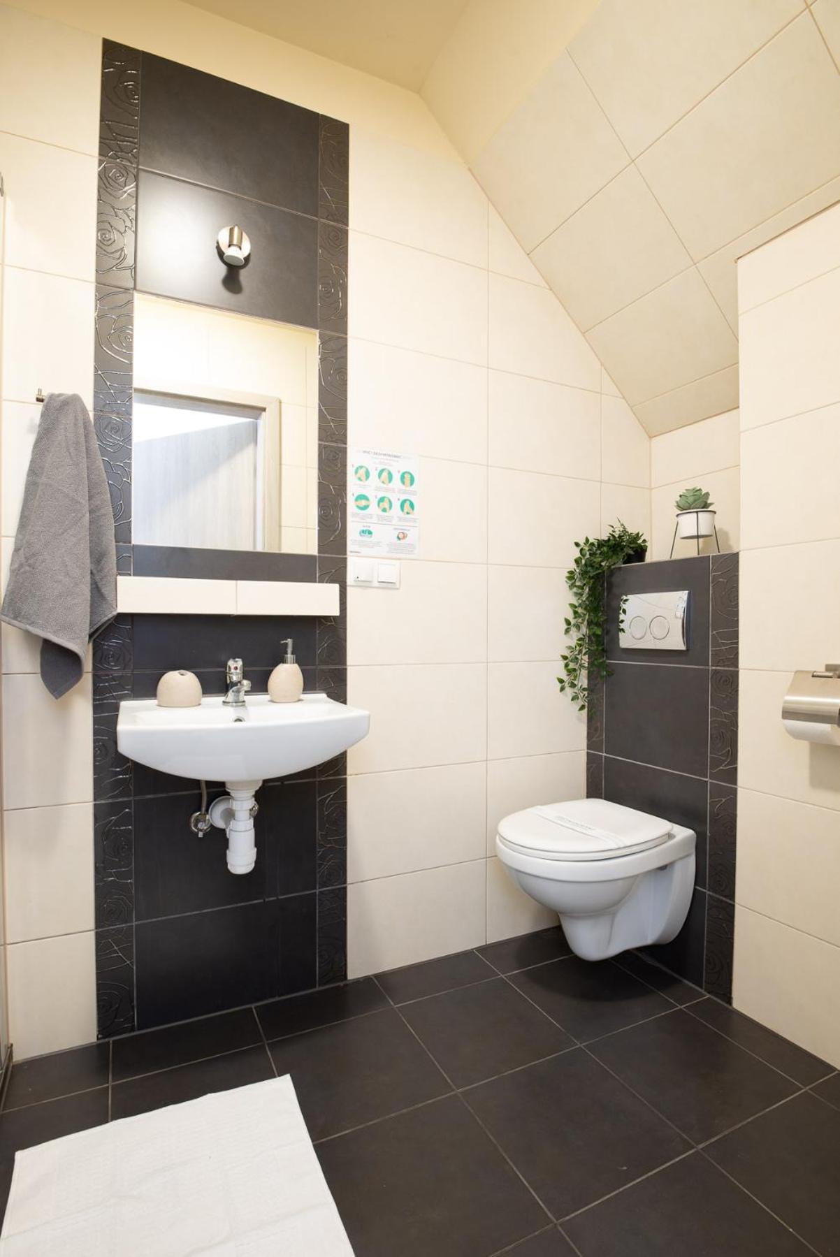 Sloneczny Stok Apartment Miedzybrodzie Zywieckie Luaran gambar